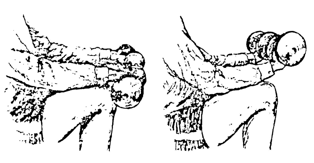 Wrist Up Curls